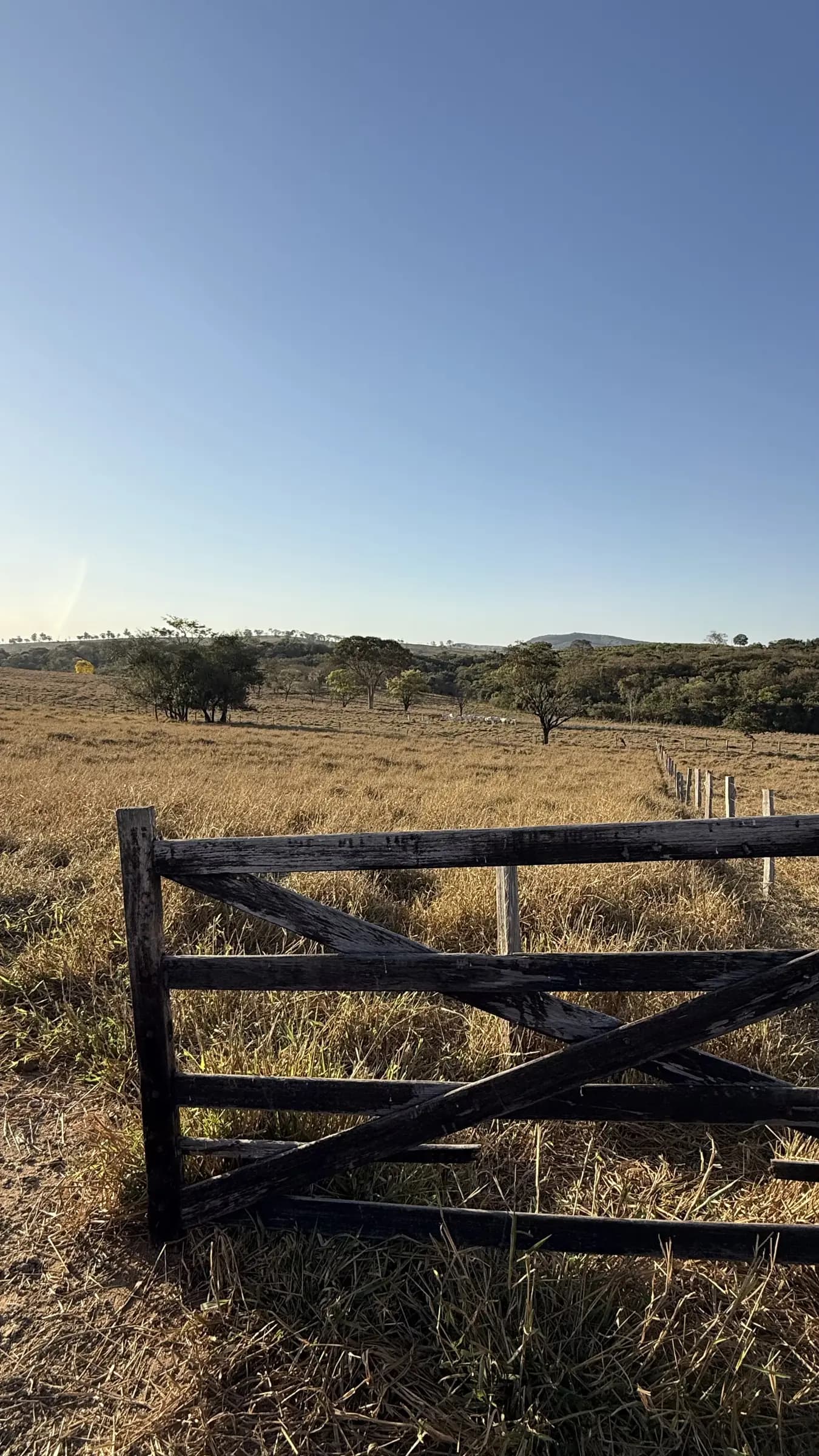 Fazendinha em Planícies da Serra