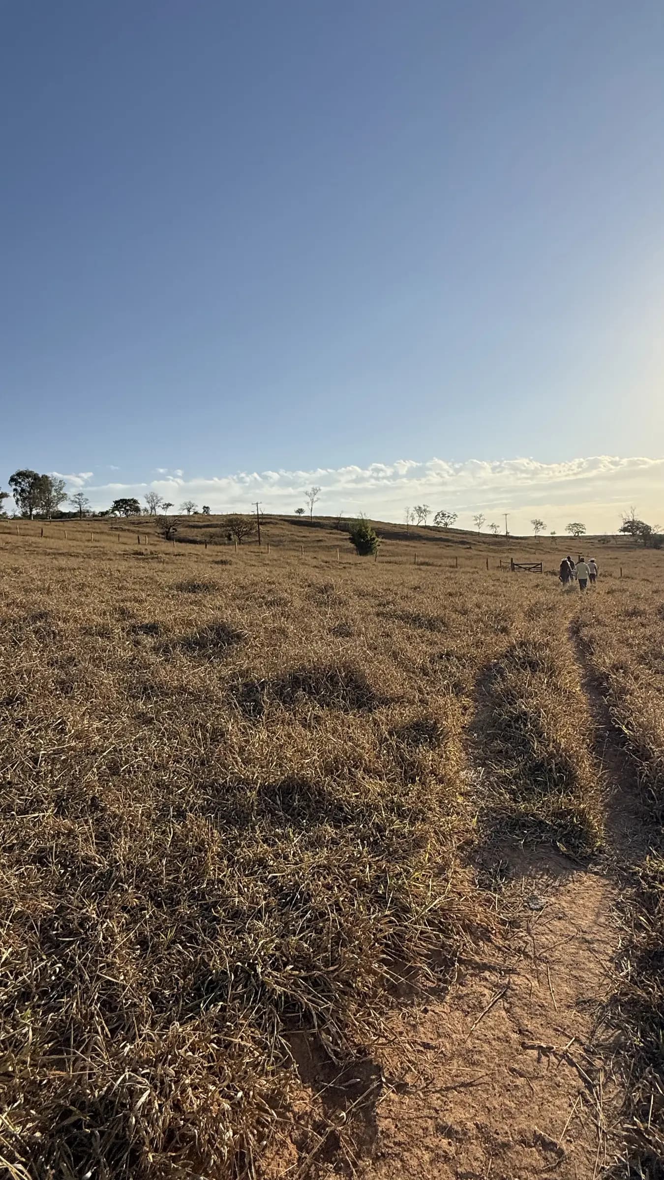 Fazendinha em Planícies da Serra