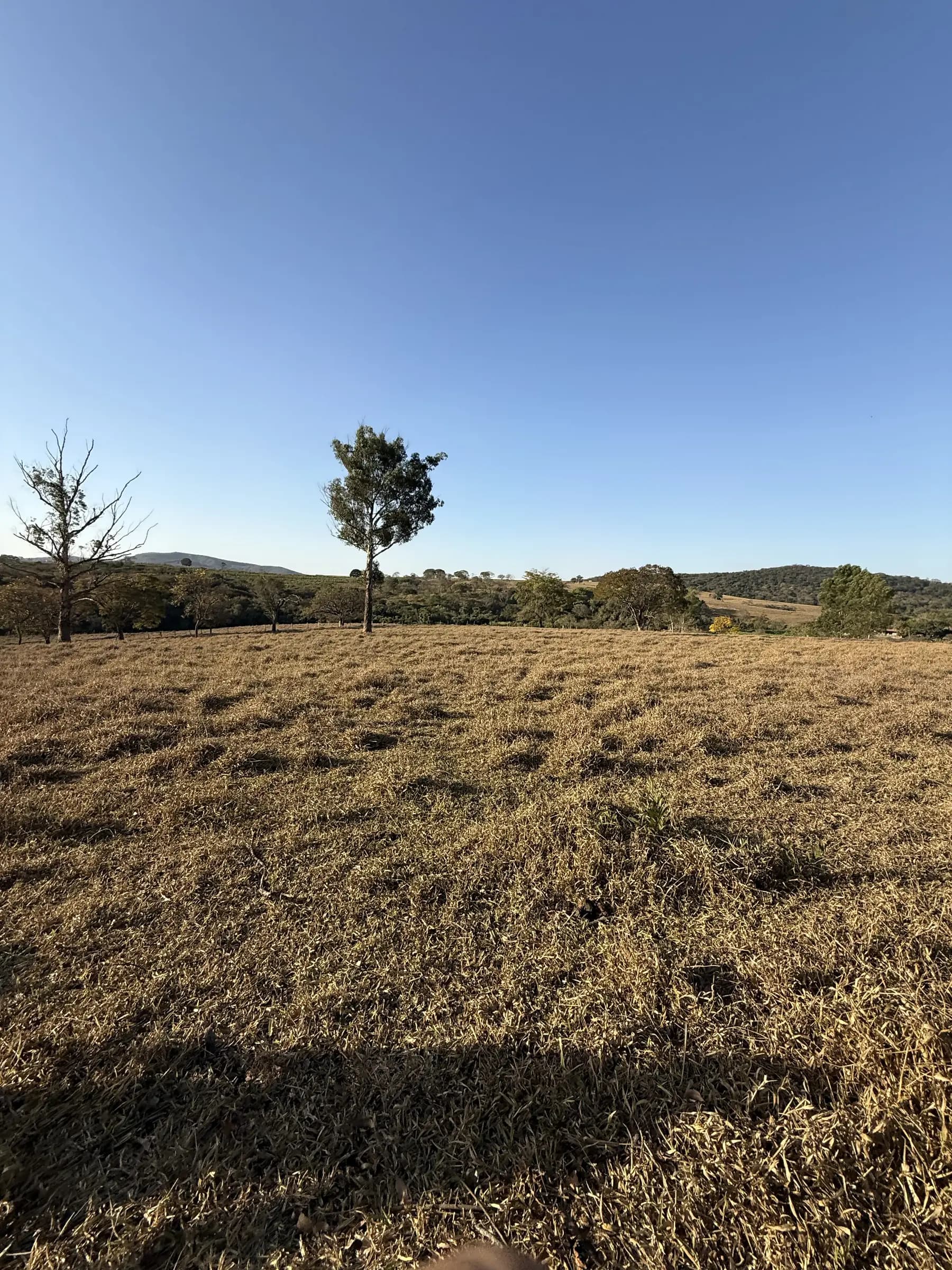 Fazendinha em Planícies da Serra
