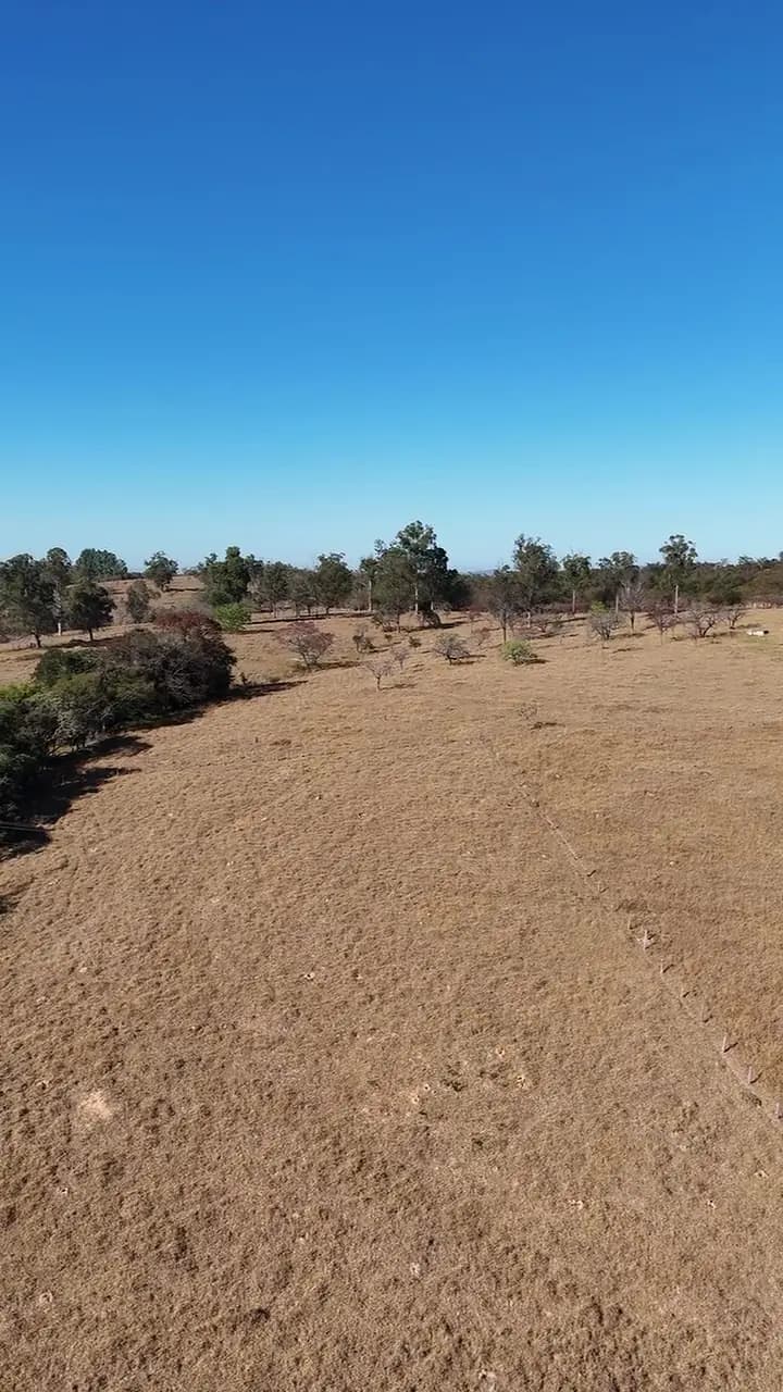 Terreno do Planícies da Serra ao nível do chão, com céu aberto e árvores ao longe