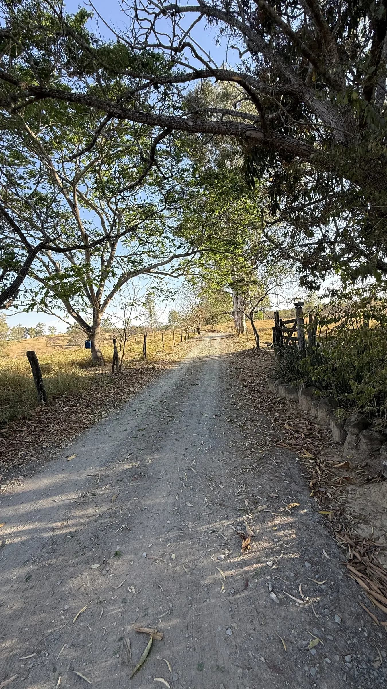Caminho de terra arborizado dando acesso ao interior do Planícies da Serra